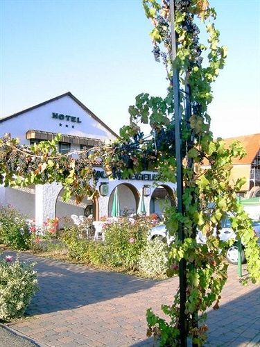 Hotel Gutshof Ziegelhuette Edenkoben Esterno foto